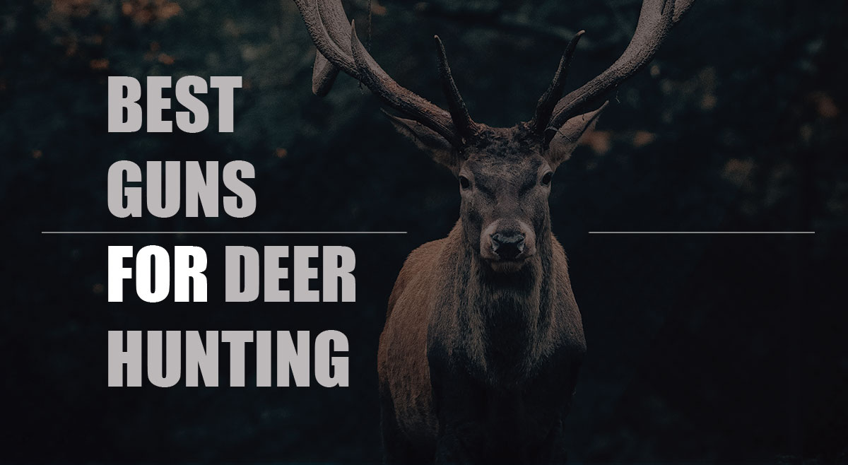 5 Best Guns for Deer Hunting | WikiArms